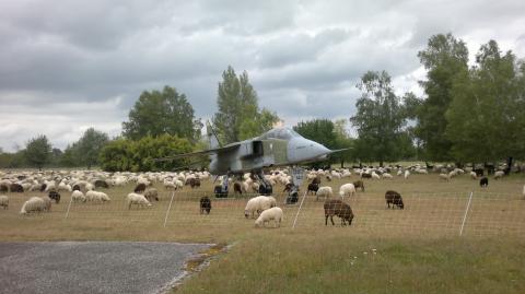 cohabitation pacifique
